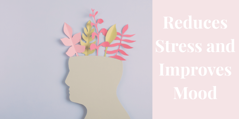 Calm outdoor lifestyle image representing reduced stress and improved mood