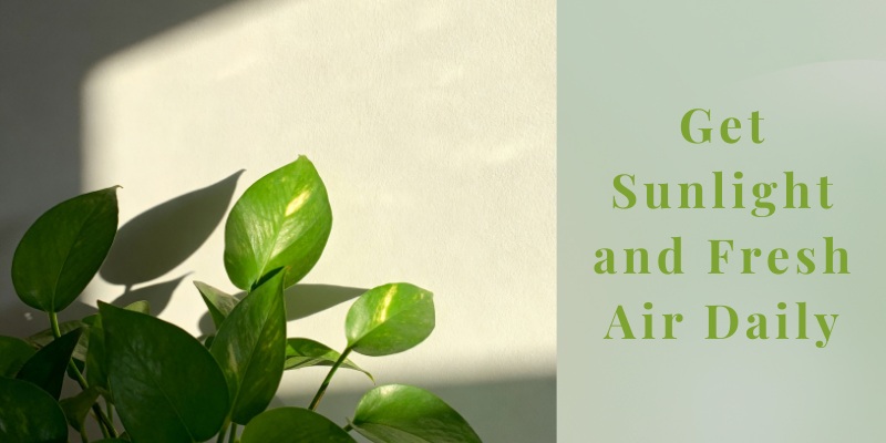 Get Sunlight and Fresh Air Daily