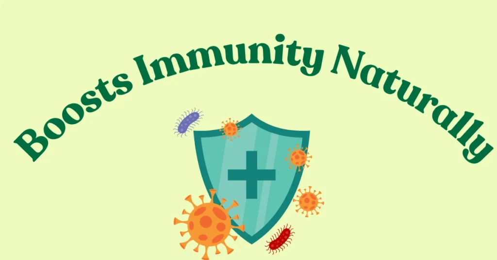 Immune system protection illustration showing shield blocking viruses and boosting immunity naturally