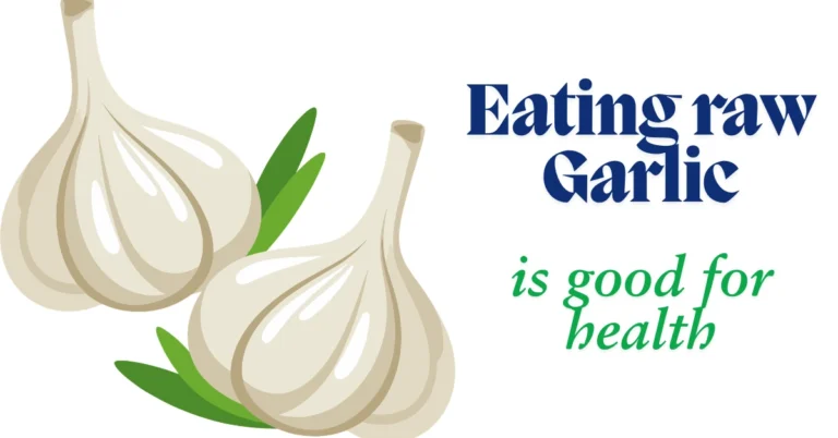Raw garlic bulbs illustration showing health benefits of eating garlic for immunity and wellness