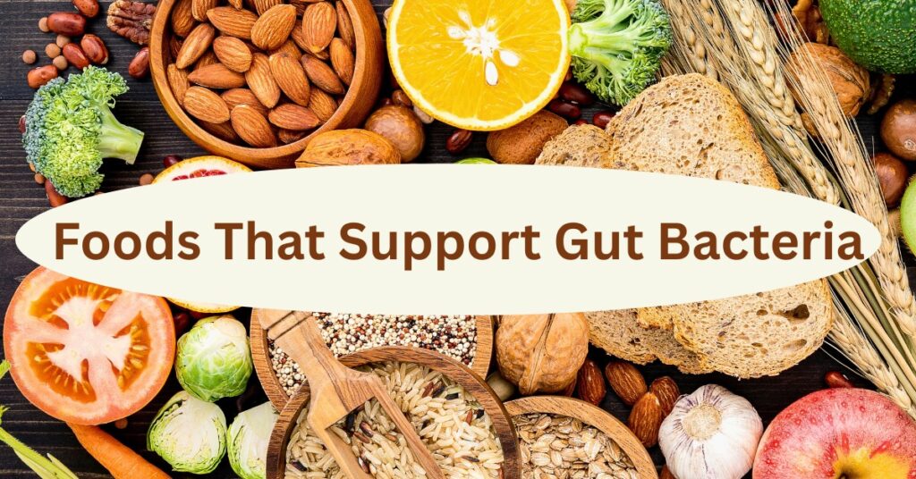 Foods That Support Gut Bacteria