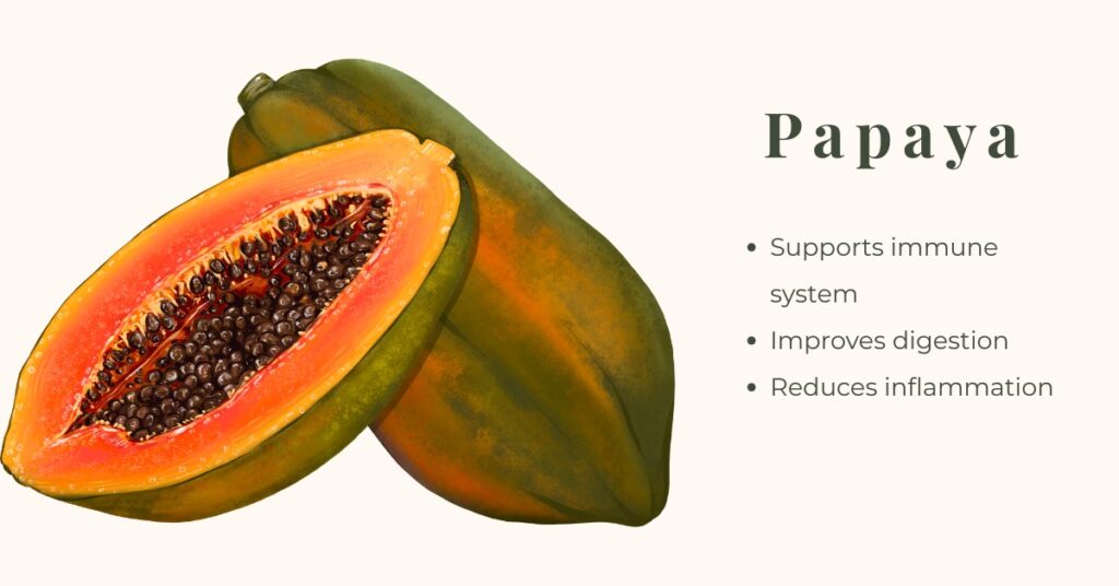 Papaya – tropical fruit that boosts immunity and supports healthy digestion