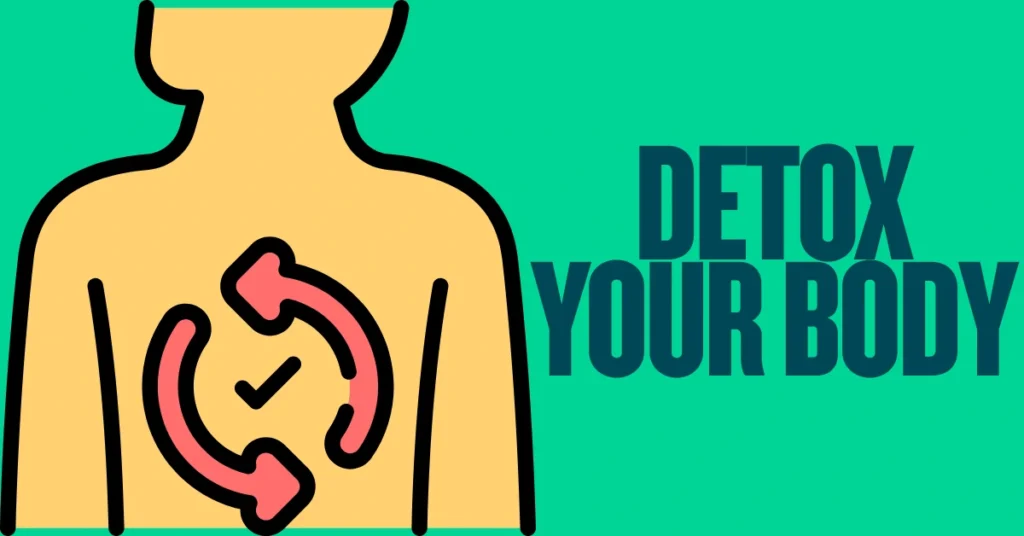 Detox your body concept with human torso and circular arrows illustrating internal cleansing and health benefits