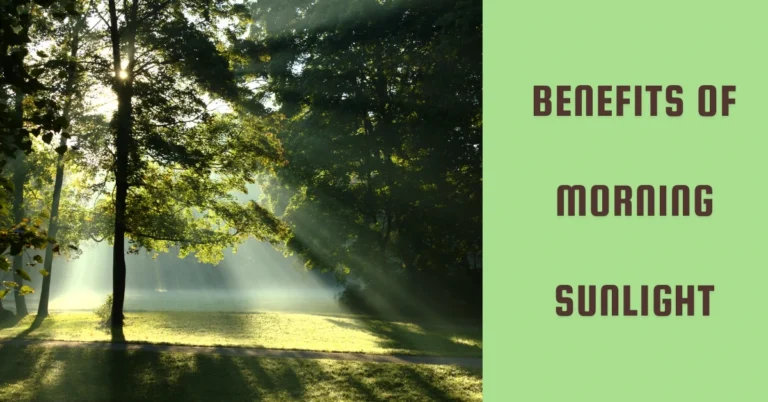 “Benefits of morning sunlight with sun rays shining through trees in a peaceful green park”